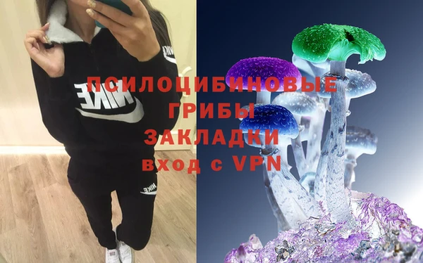 PSILOCYBIN Приозерск
