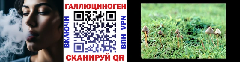 Псилоцибиновые грибы Psilocybine cubensis  Сергач 
